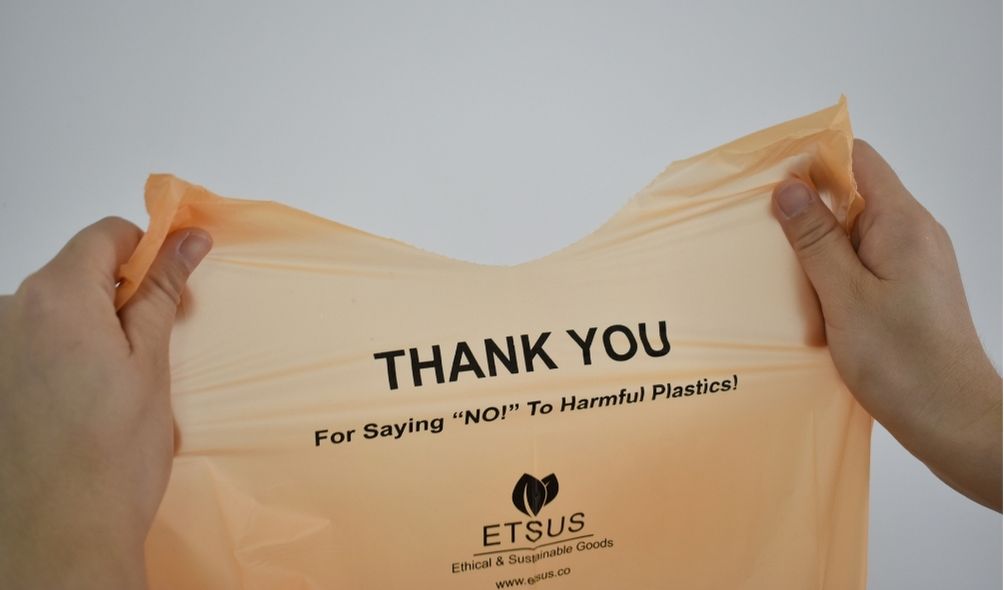 Which bioplastic alternatives are worth understanding?