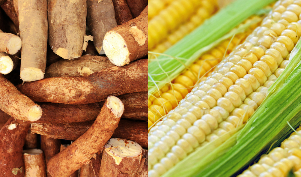 Cassava plastic or corn-starch plastic: what is the difference?