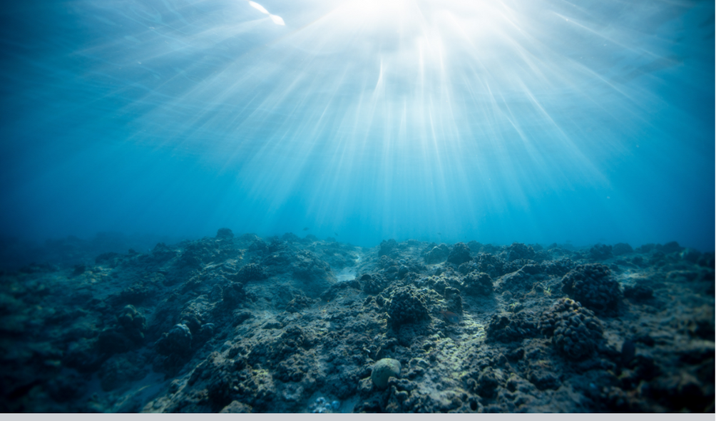 How does plastic get so deep in the ocean?