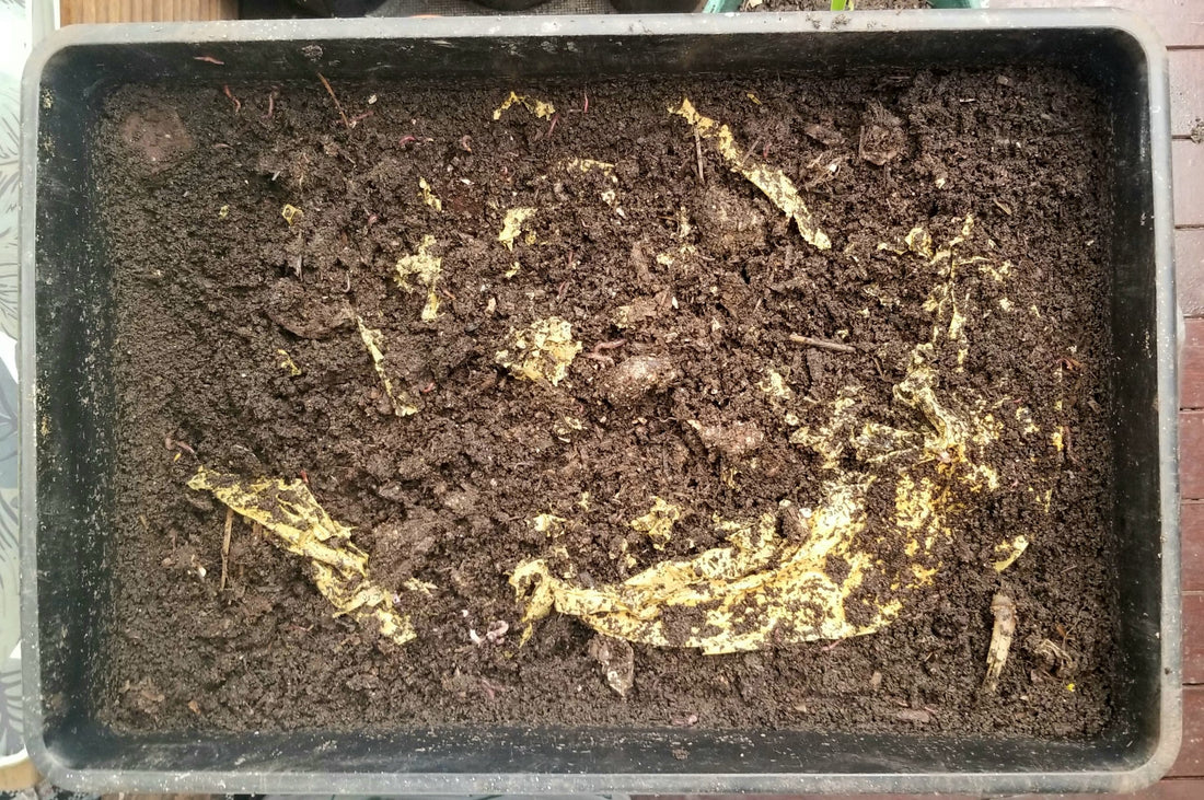 Should you bury compostable bags?