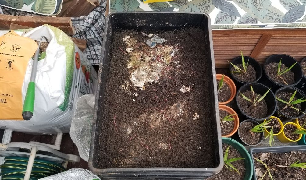 How to compost at home