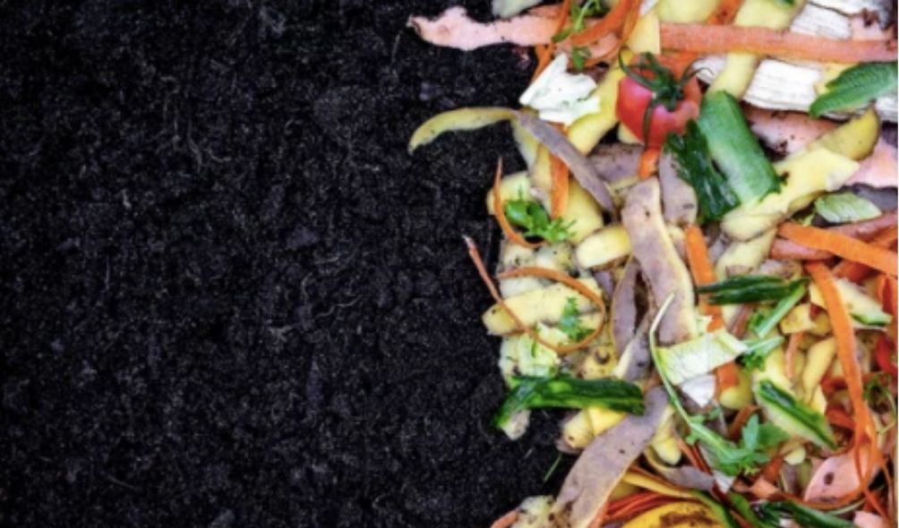 How to start a kitchen compost routine
