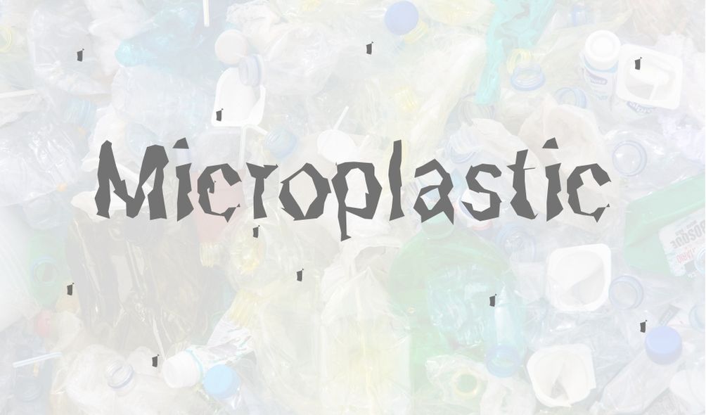Are microplastics in the body harmful?